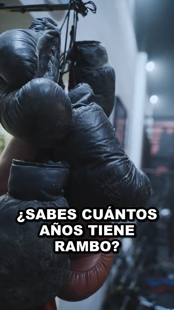 ¿Cuántos años tiene Sylvester Stallone? La edad real de Rambo