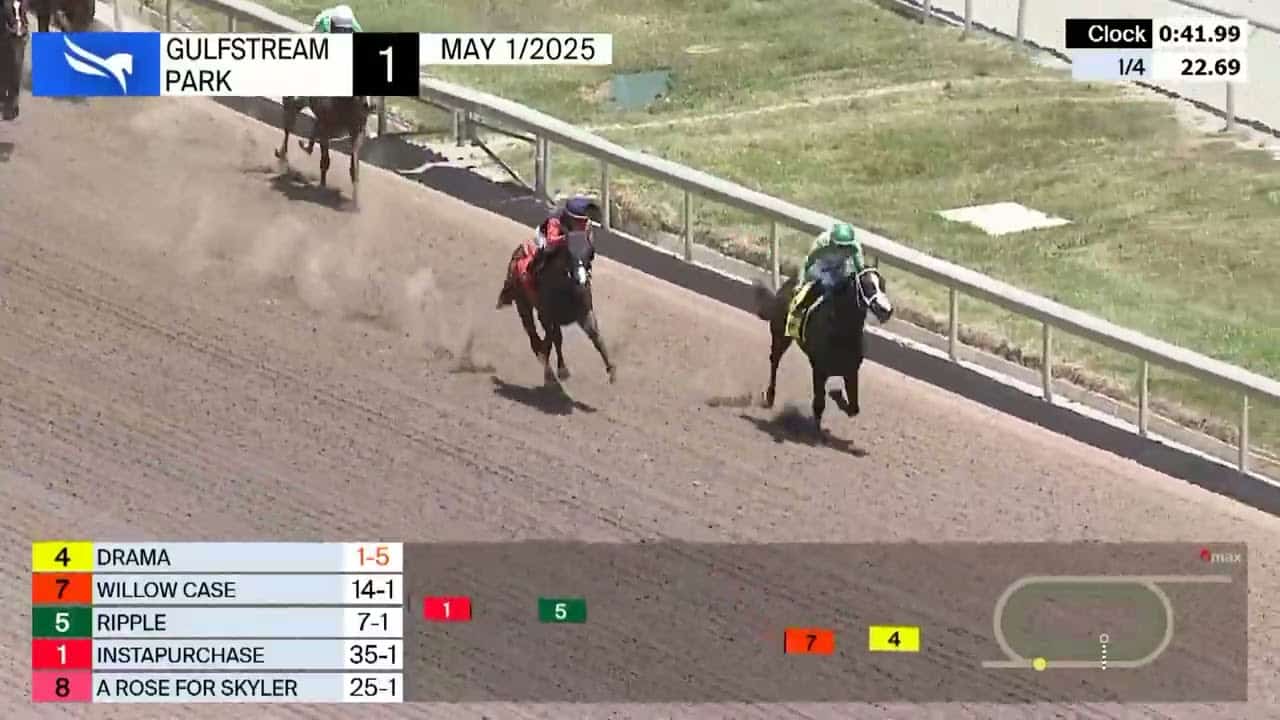 Carreras En Vivo Gulfstream Park