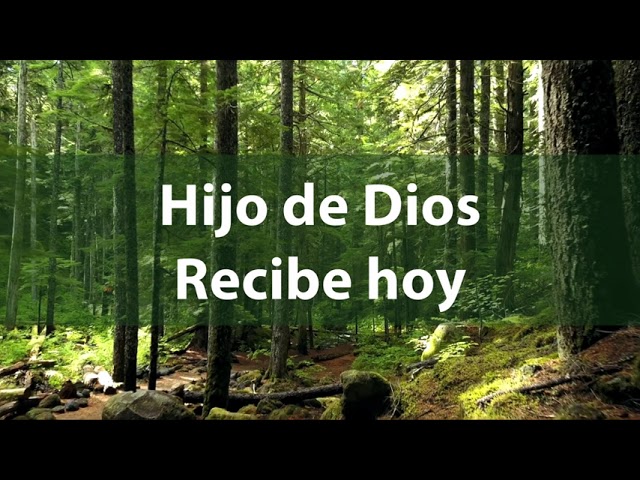 Hijo De Dios Recibe Hoy Letra