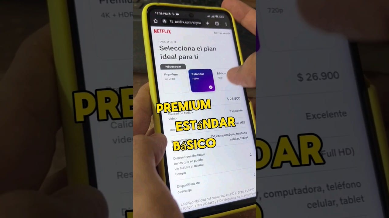 Netflix Pagar