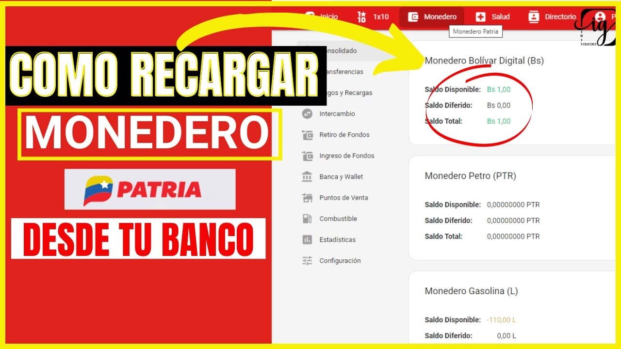 Datos Para Pagar La Gasolina En Patria Venezuela