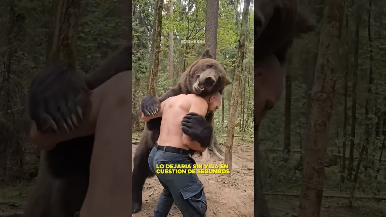 Familia De Palabras De Pan Venezuela