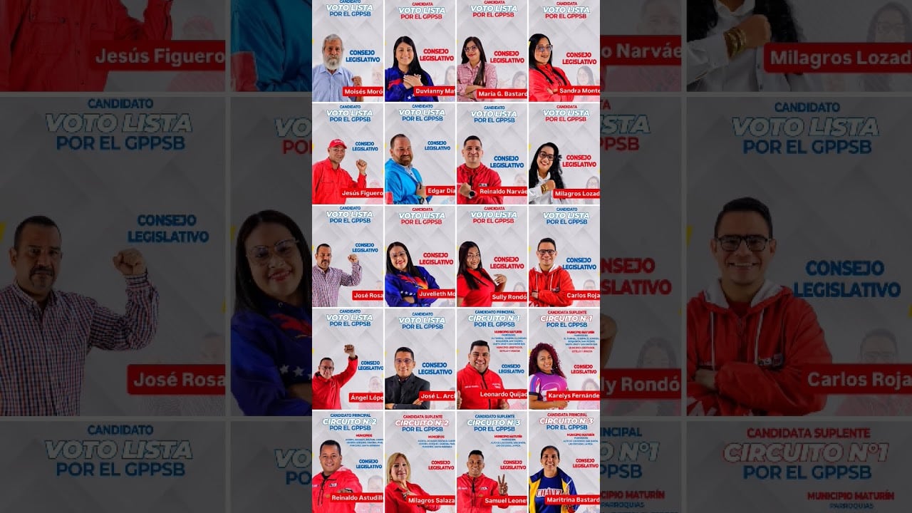 Psuv Candidatos Venezuela