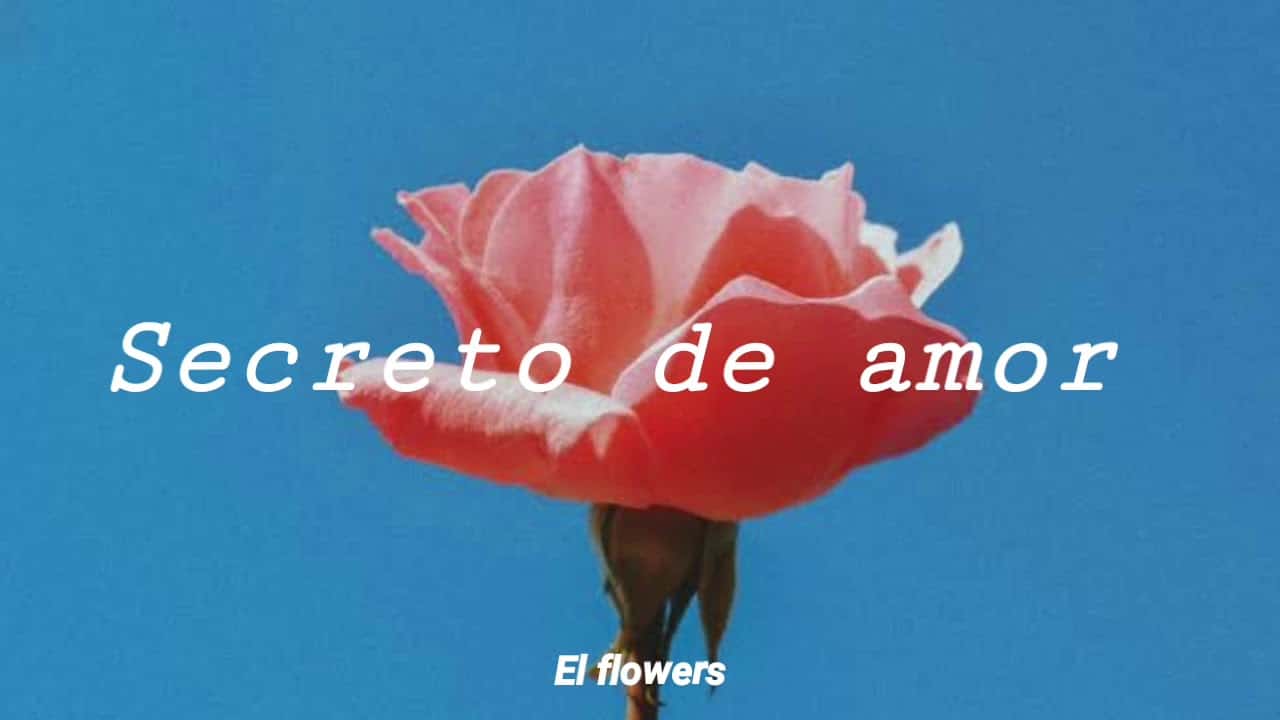 Secreto De Amor Letra Venezuela