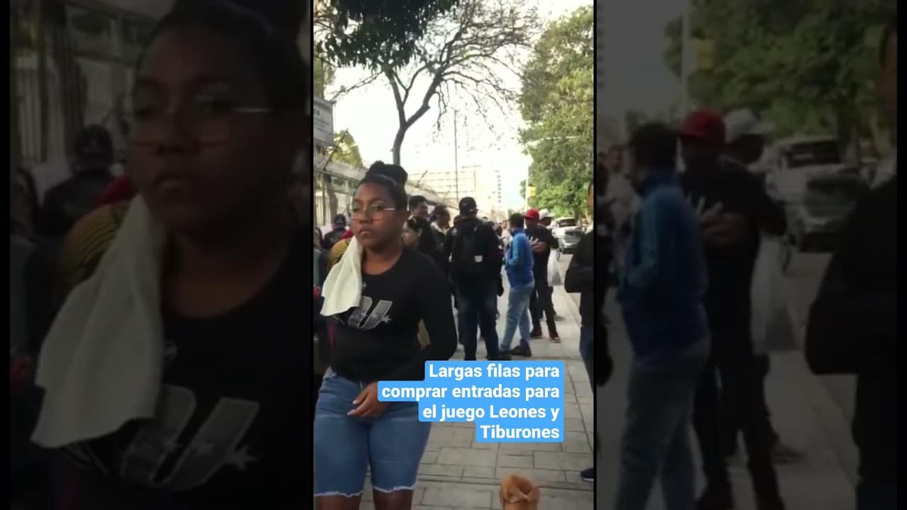 Entradas Leones Del Caracas: Cómo y dónde comprar las entradas para los juegos de Leones del Caracas